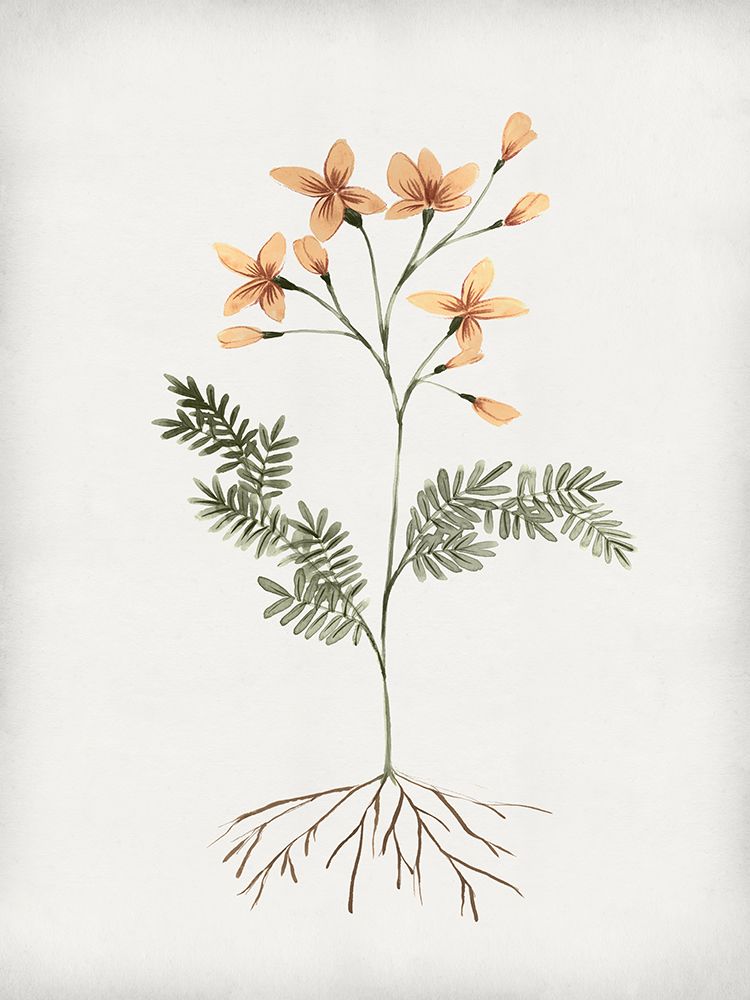 Rooted Floral II art print by Isabelle Z for $57.95 CAD