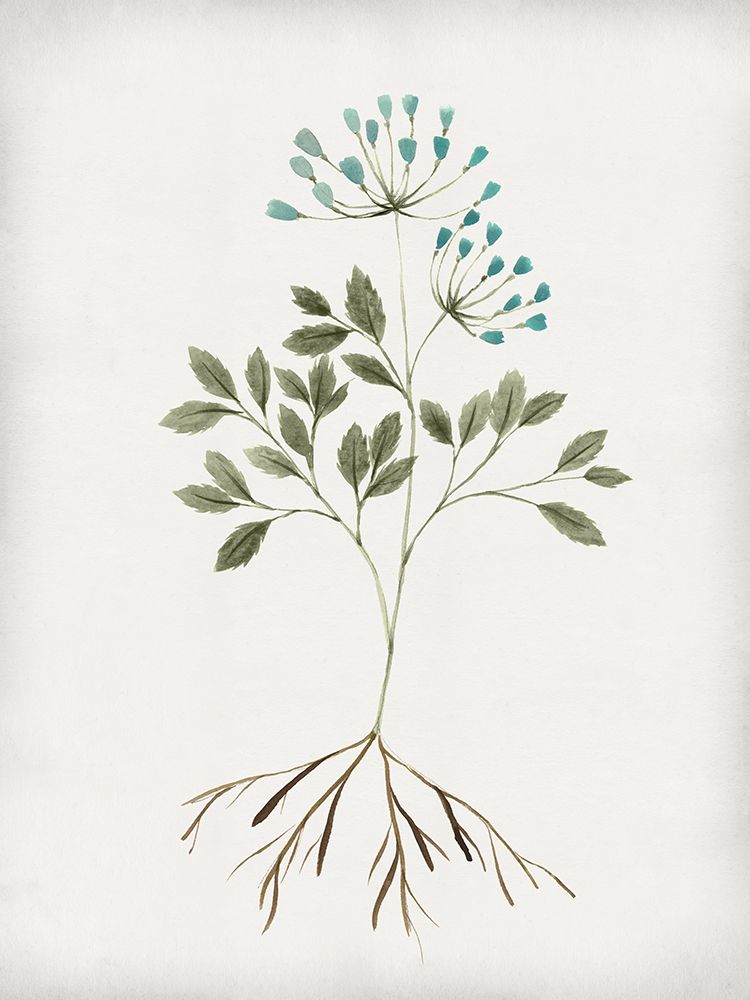 Rooted Floral III art print by Isabelle Z for $57.95 CAD