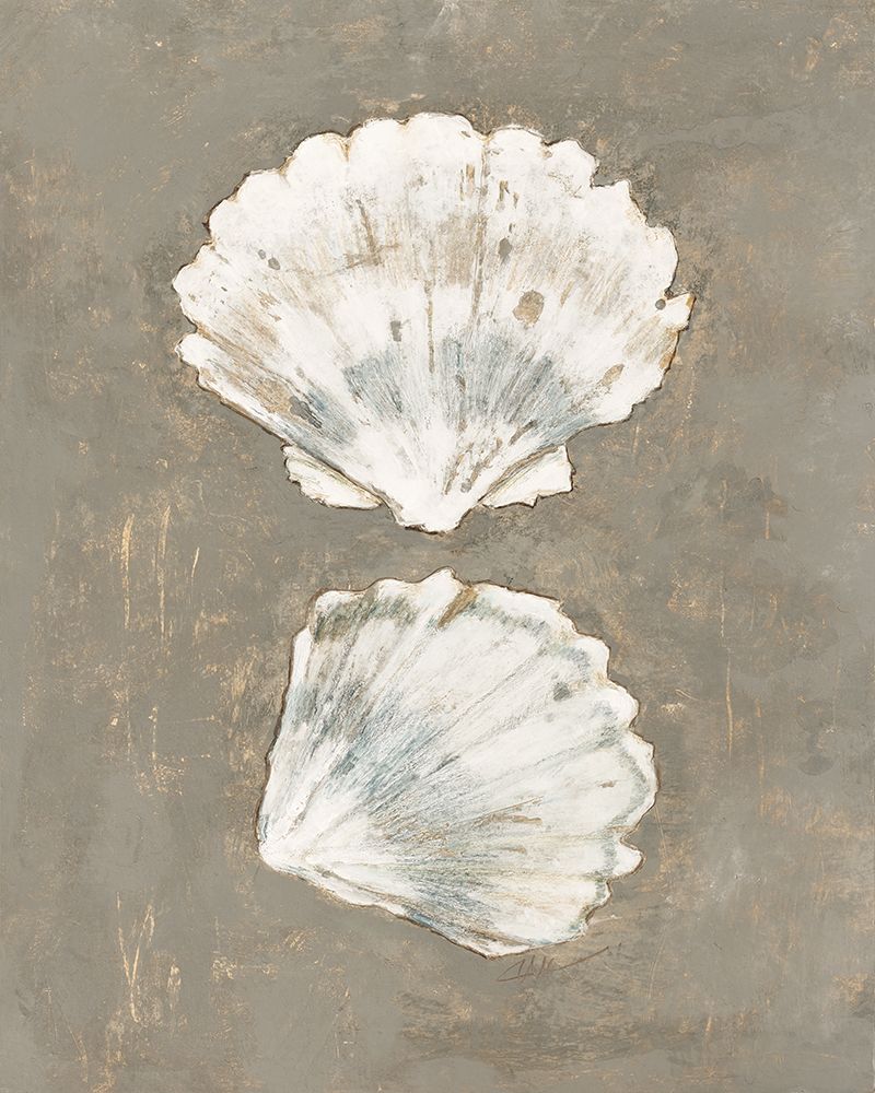 Coastal Sea Shells art print by Filippo Ioco for $57.95 CAD