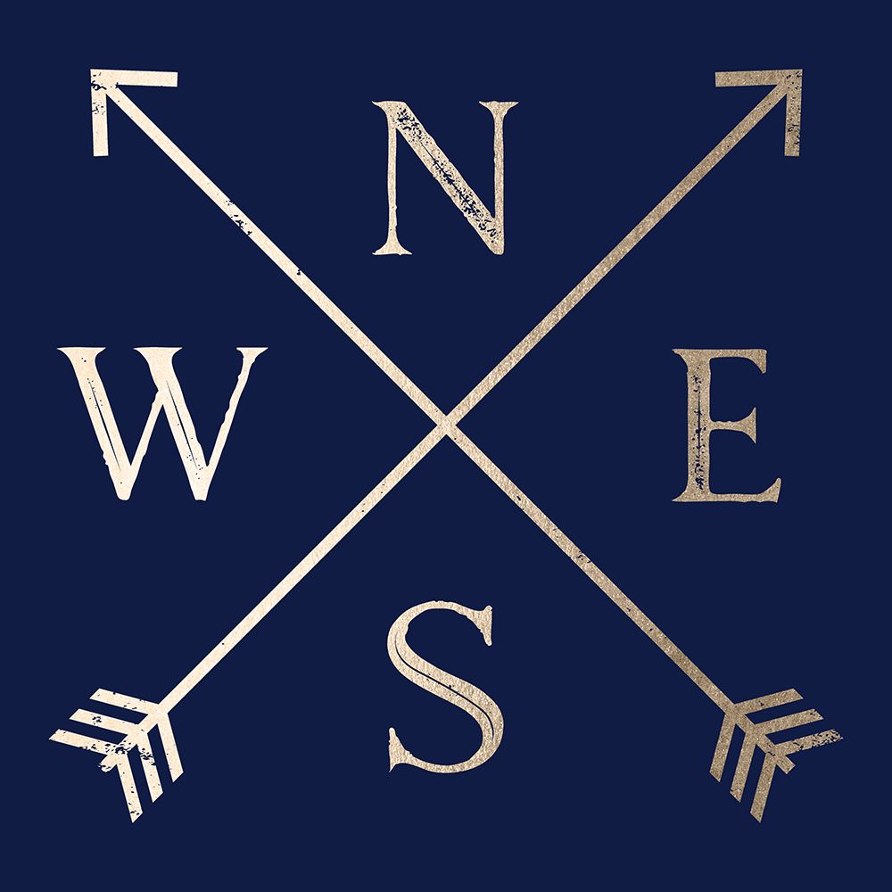 Compass Gold on Navy art print by Nature Magick for $57.95 CAD
