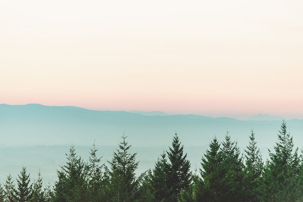 Forest Sunset Pink Sky Mountain Fog art print by Nature Magick for $57.95 CAD