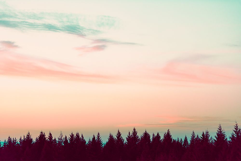 Sunset Over The Pines art print by Nature Magick for $57.95 CAD