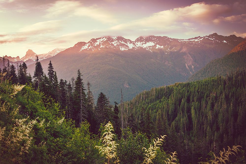 Cascade Mountain Summer Flower Sunset art print by Nature Magick for $57.95 CAD