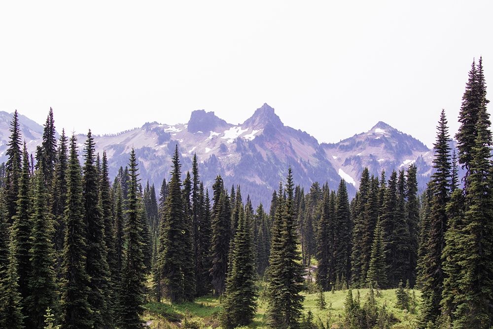Alpine Forest Mountain Adventure art print by Nature Magick for $57.95 CAD