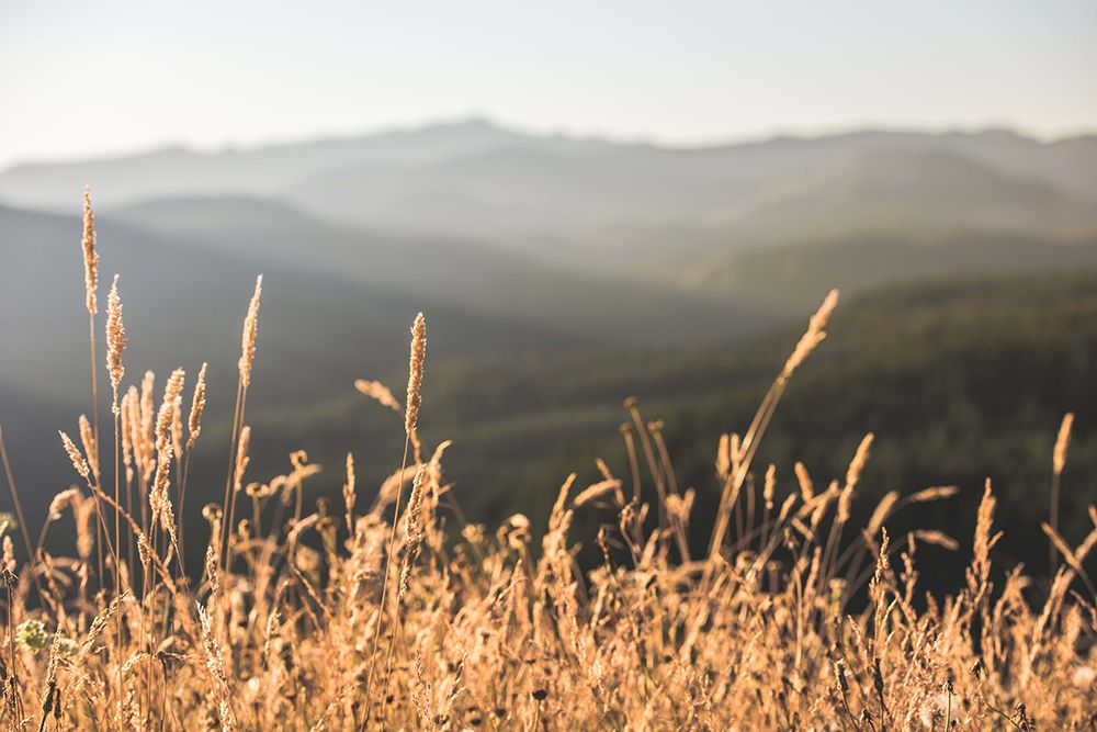 Mountain and Fall Fields art print by Nature Magick for $57.95 CAD