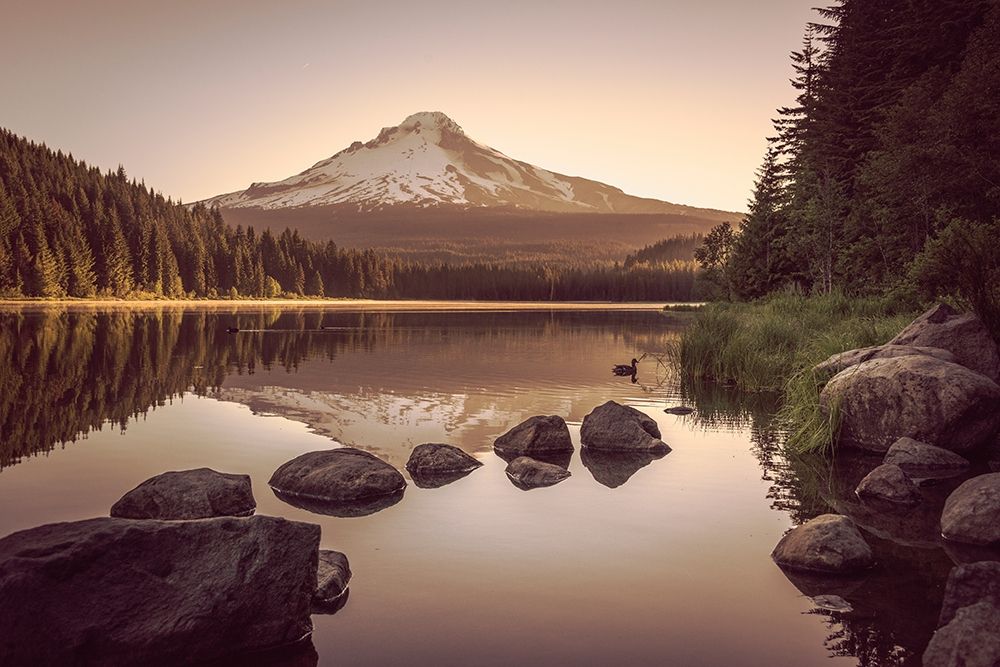 Mountain Forest Lake Sunrise art print by Nature Magick for $57.95 CAD