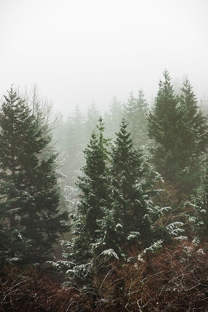 Forest Fog Winter Snow II art print by Nature Magick for $57.95 CAD