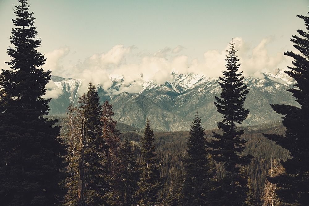 Snow Capped Mountain Forest art print by Nature Magick for $57.95 CAD