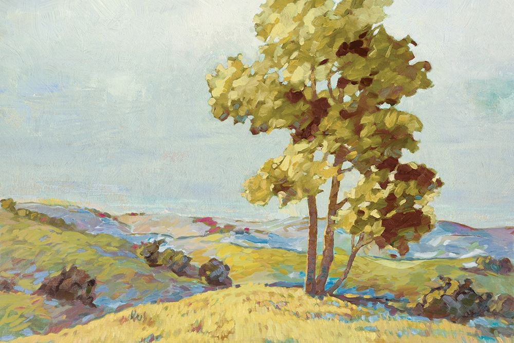 Sandhills I art print by Graham Reynolds for $57.95 CAD
