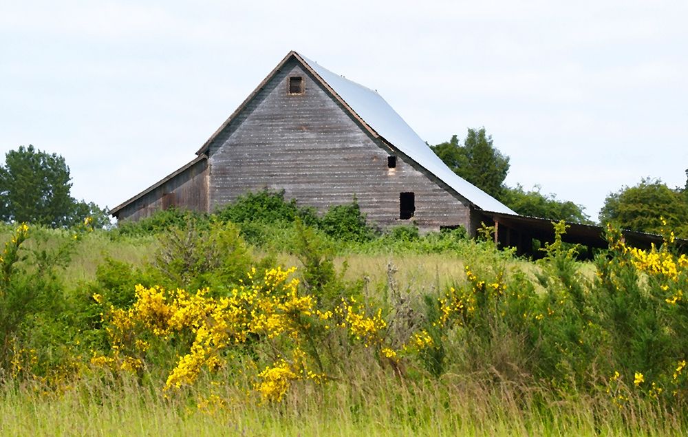 Summer Barn art print by Gerry Wilson for $57.95 CAD