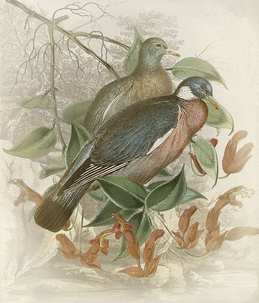Dove Tailing art print by Steve Hunziker for $57.95 CAD
