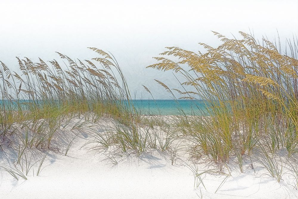 Ocean View art print by Steve Hunziker for $57.95 CAD