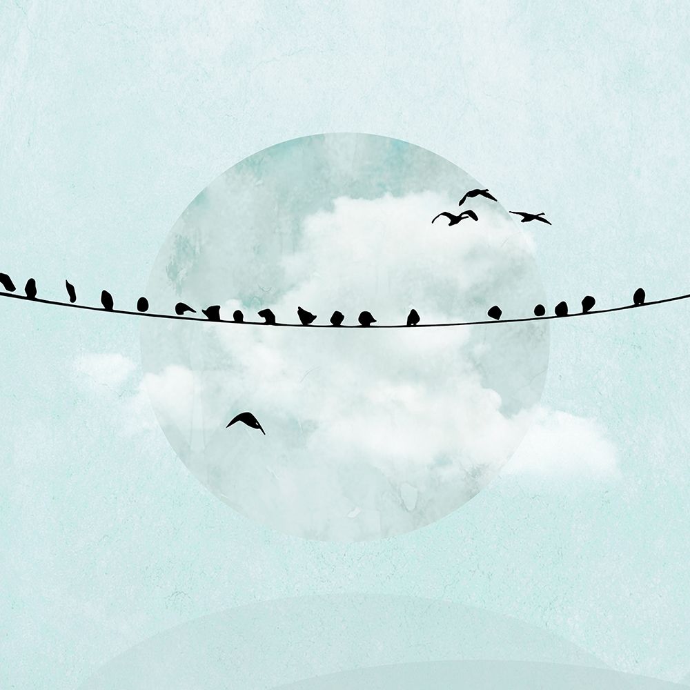 Birds on a Line I art print by Hal Halli for $57.95 CAD