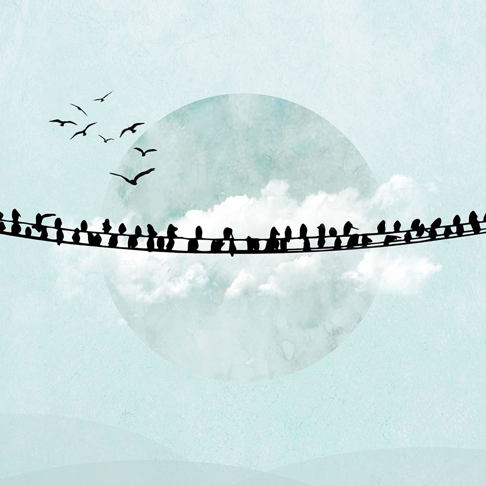 Birds on a Line II art print by Hal Halli for $57.95 CAD