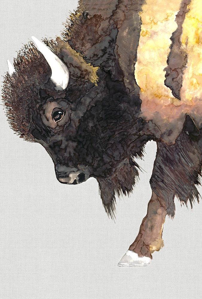 Buffalo Bill art print by Jodi Hatfield for $57.95 CAD