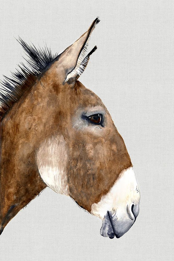 Brown Donkey art print by Jodi Hatfield for $57.95 CAD