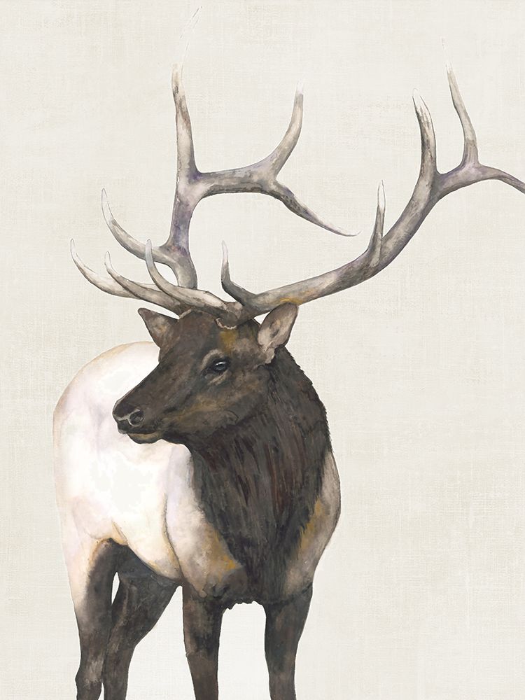 Ranger art print by Jodi Hatfiled for $57.95 CAD