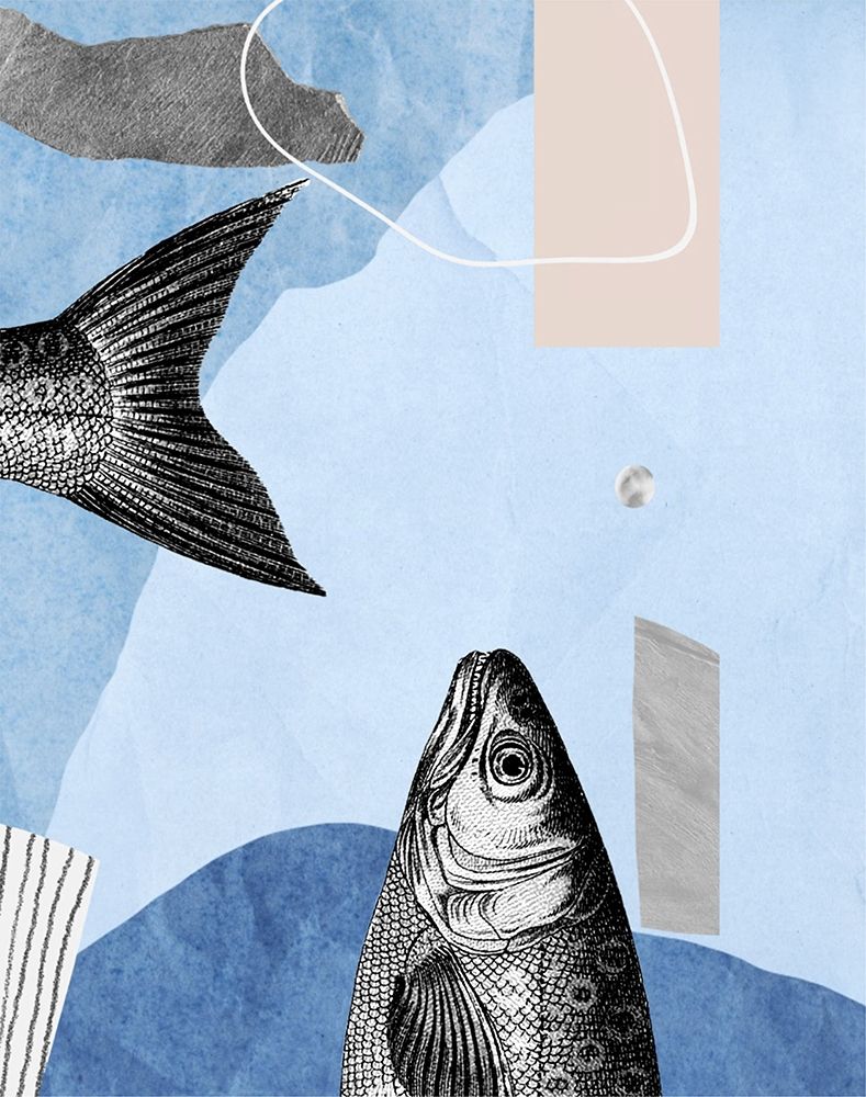 Top and Tail I art print by Karen Smith for $57.95 CAD