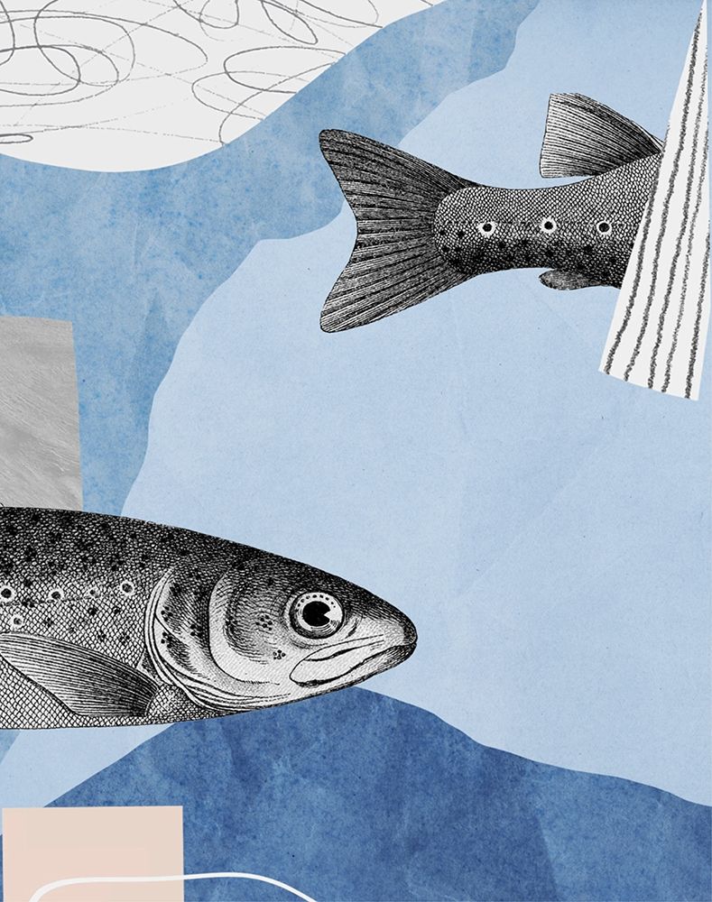 Top and Tail II art print by Karen Smith for $57.95 CAD