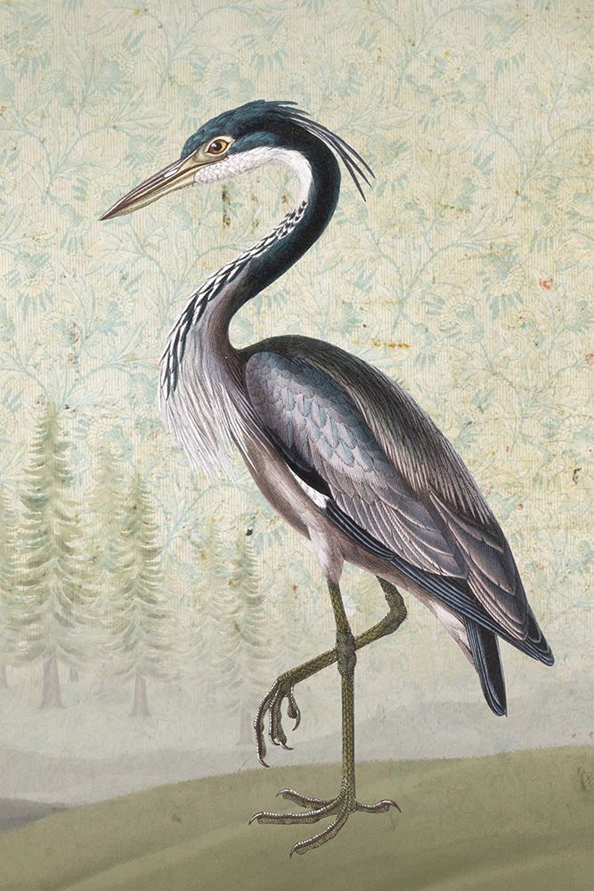 Bird Poise I art print by Karen Smith for $57.95 CAD