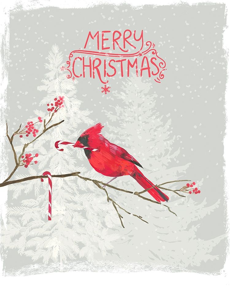Cardinal Candy Cane art print by PI Studio for $57.95 CAD