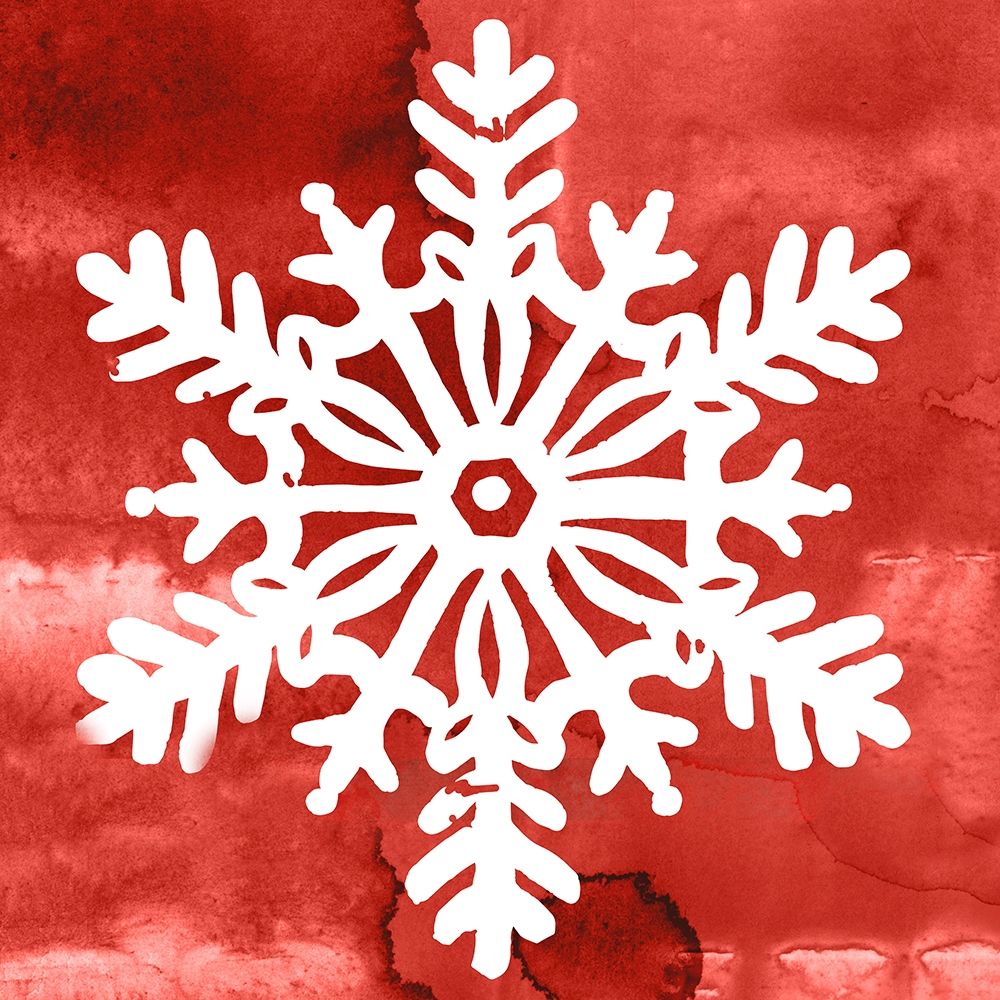Nordic Snowflake III art print by PI Studio for $57.95 CAD
