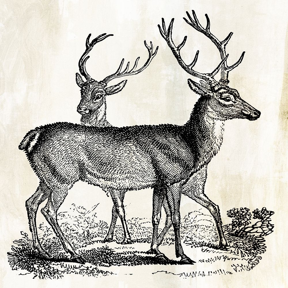 Two Reindeers art print by PI Studio for $57.95 CAD