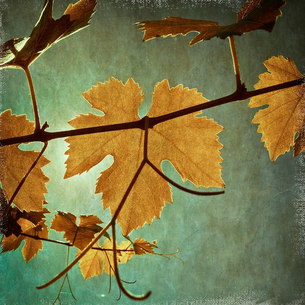 Divine I art print by Ryan Harston-Weddle for $57.95 CAD
