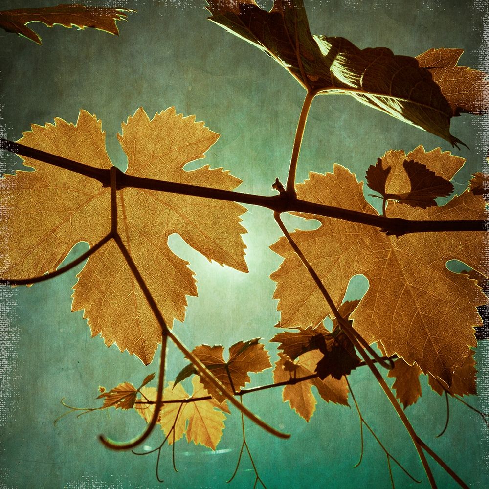 Divine III art print by Ryan Harston-Weddle for $57.95 CAD