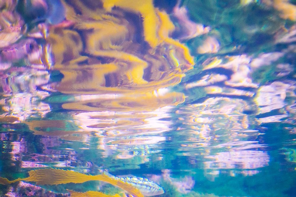 Aquatica II art print by Ryan Hartson-Weddle for $57.95 CAD