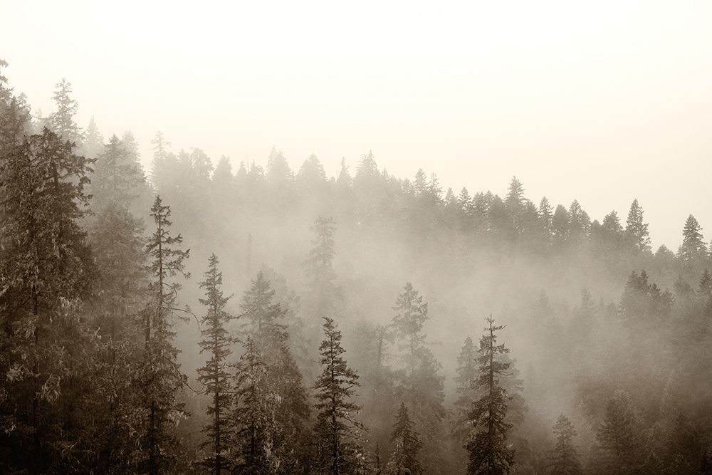 Untouched I art print by Ryan Weddle for $57.95 CAD