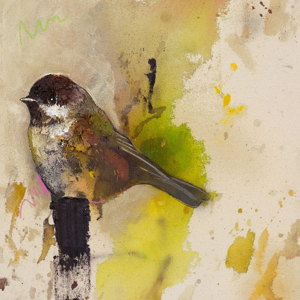 Yellow Goldfinch art print by Daniel St Amant for $57.95 CAD