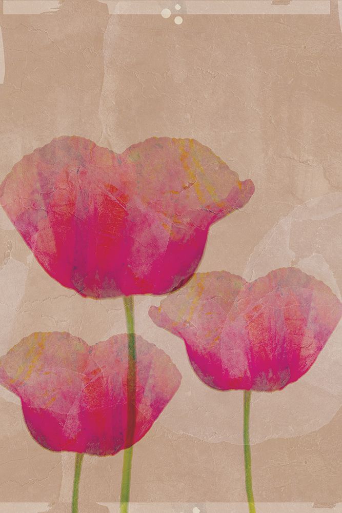 Pink Blossoms on Textured Canvas I art print by Aoibhne Hogan for $57.95 CAD