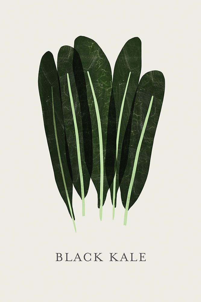 Black Kale art print by Aoibhne Hogan for $57.95 CAD
