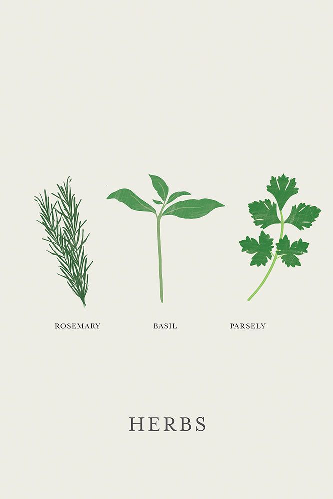 Trio of Culinary Greens art print by Aoibhne Hogan for $57.95 CAD