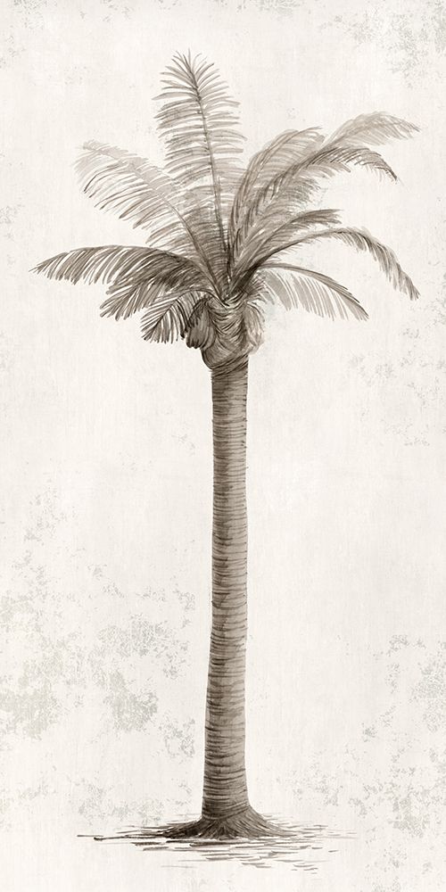 Vintage Palm Tree I art print by Ian C for $57.95 CAD