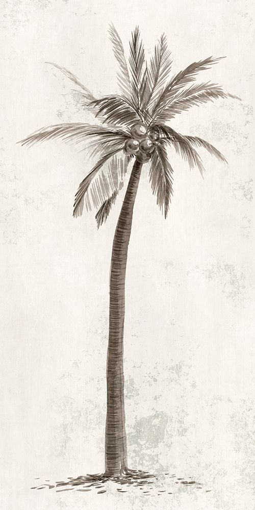 Vintage Palm Tree II art print by Ian C for $57.95 CAD