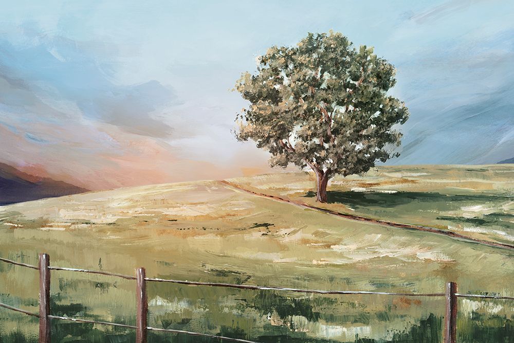 Sunset Tree art print by Ian C for $57.95 CAD