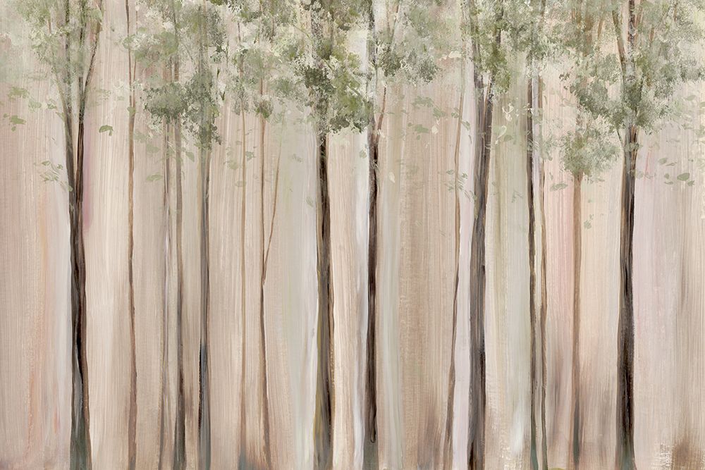 Soft Forest in Gentle Light art print by Ian C for $57.95 CAD