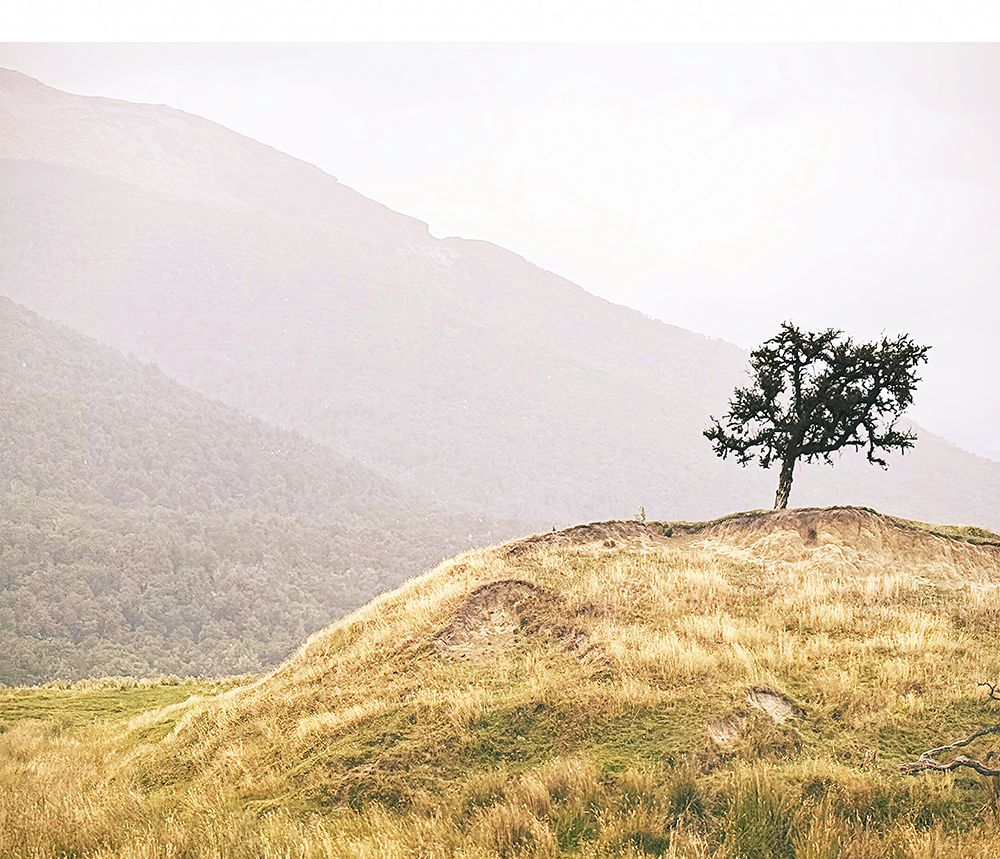 Lone Guardian art print by Jessica Valner for $57.95 CAD