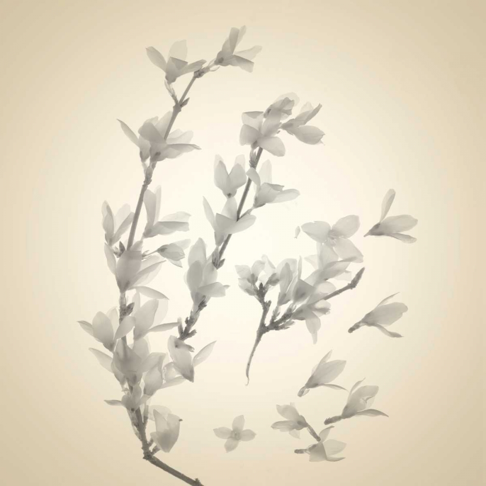 Sway art print by Judy Stalus for $57.95 CAD