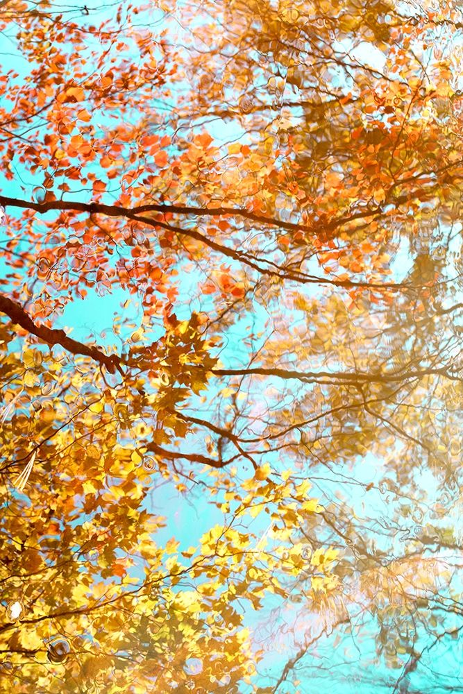 Afternoon Breeze II art print by Judy Stalus for $57.95 CAD