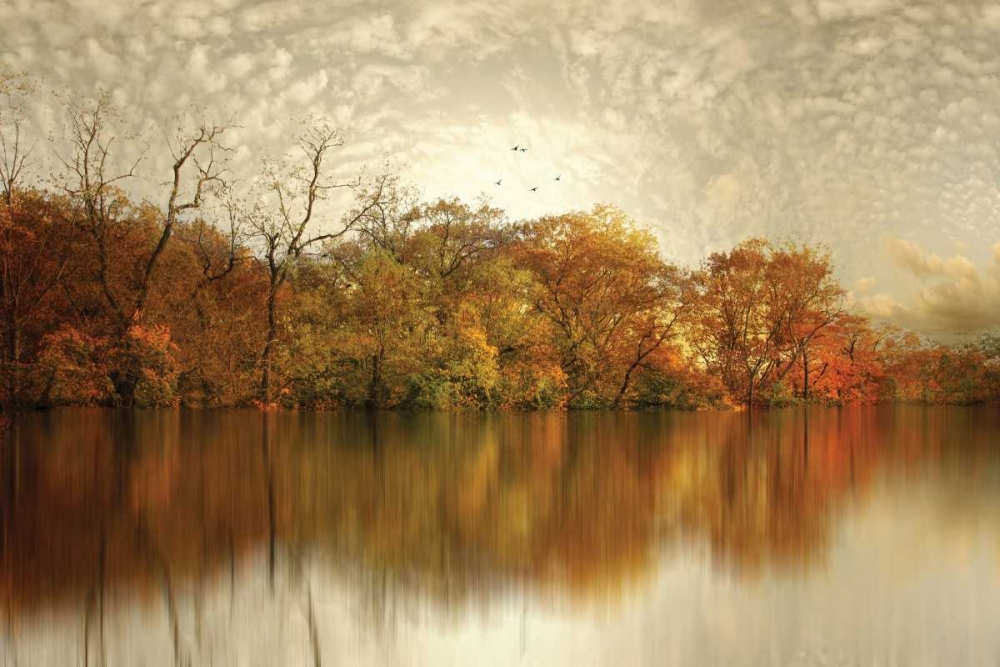 Floating Foliage art print by Jessica Jenney for $57.95 CAD