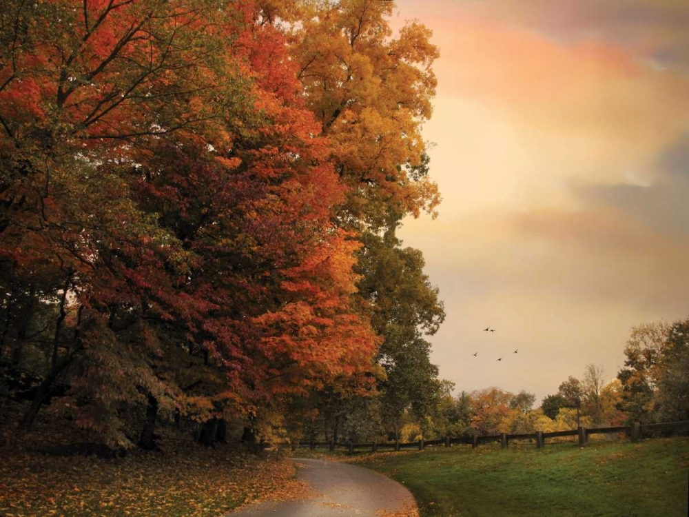 Turning art print by Jessica Jenney for $57.95 CAD
