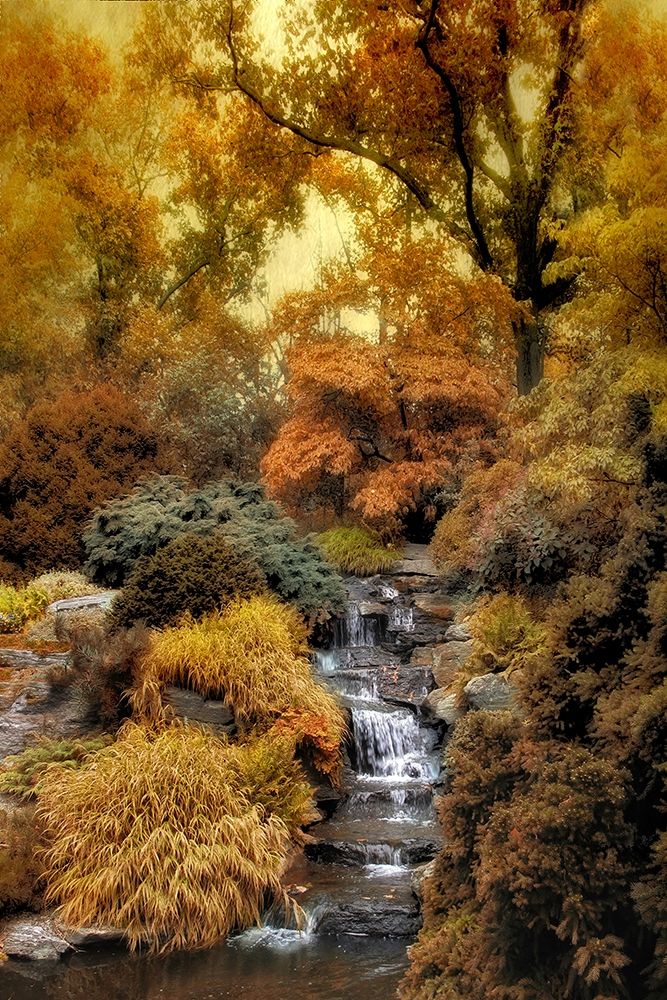 Japanese Rock Garden art print by Jessica Jenney for $57.95 CAD