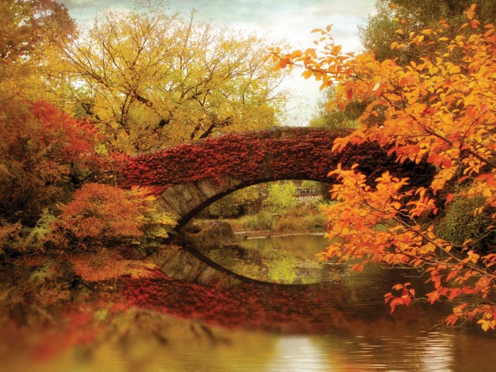 Gapstow Glory art print by Jessica Jenney for $57.95 CAD