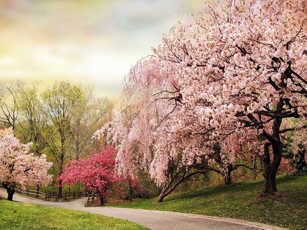 Asian Cherry Grove art print by Jessica Jenney for $57.95 CAD