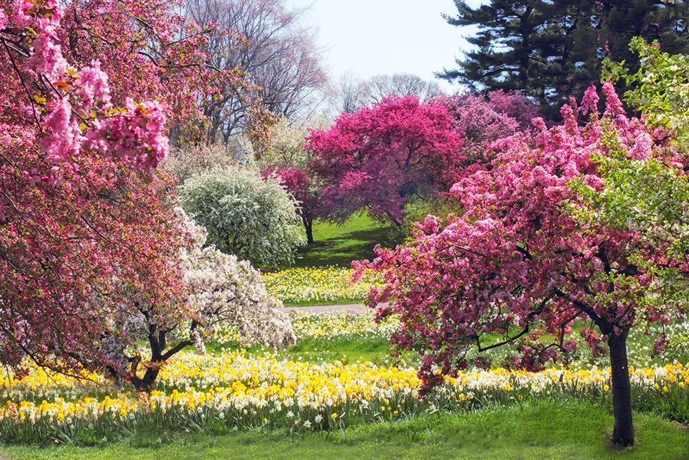 Spring has Sprung art print by Jessica Jenney for $57.95 CAD
