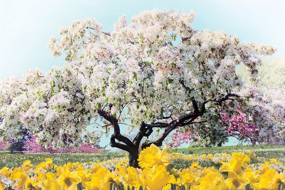 Pastel Park art print by Jessica Jenney for $57.95 CAD
