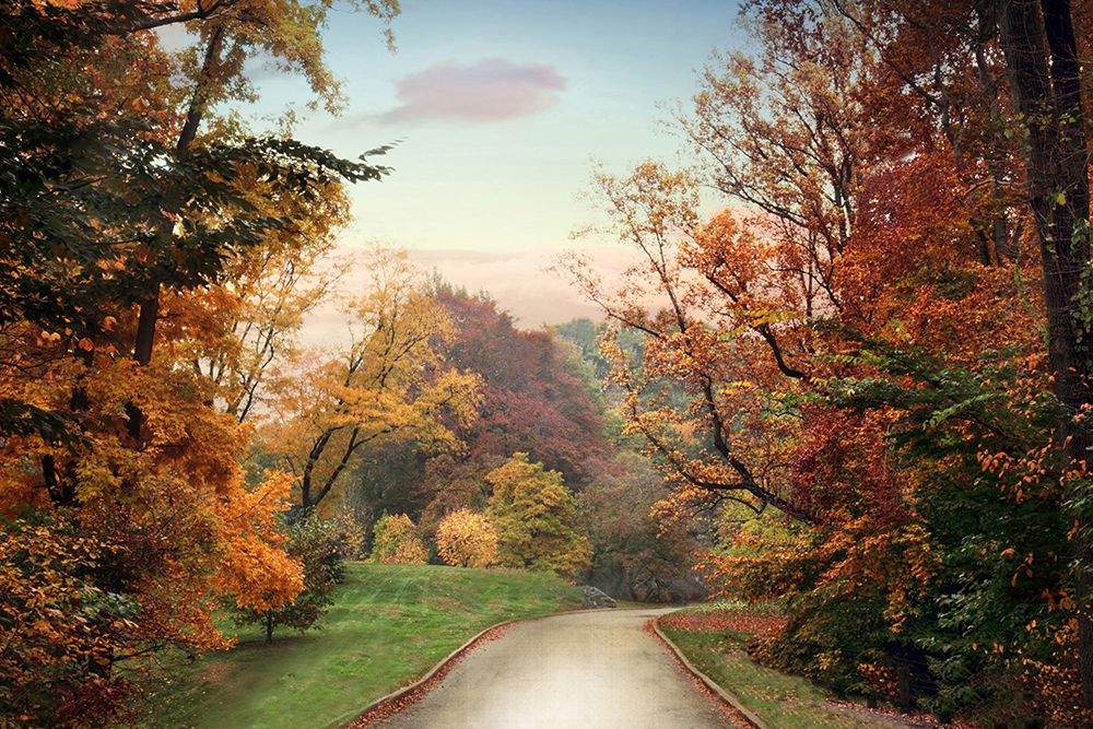 Country Road art print by Jessica Jenney for $57.95 CAD